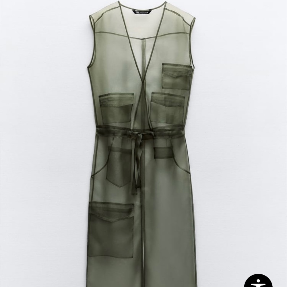 Semi Sheer Organza Dress